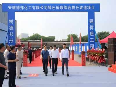 安徽德邦化工有限公司背壓式汽輪發(fā)電機(jī)組節(jié)能技改增效合同能源管理項(xiàng)目